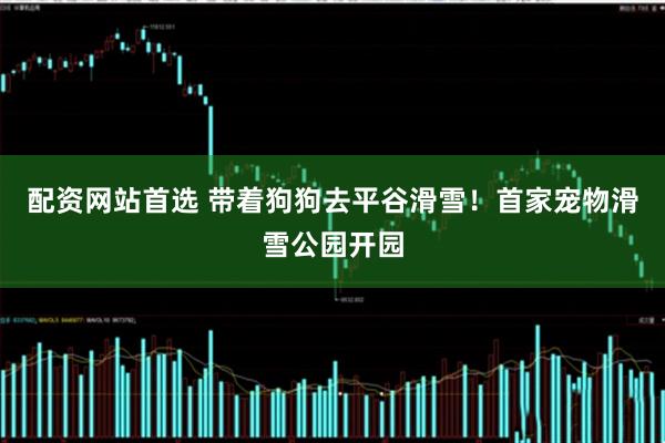 配资网站首选 带着狗狗去平谷滑雪！首家宠物滑雪公园开园